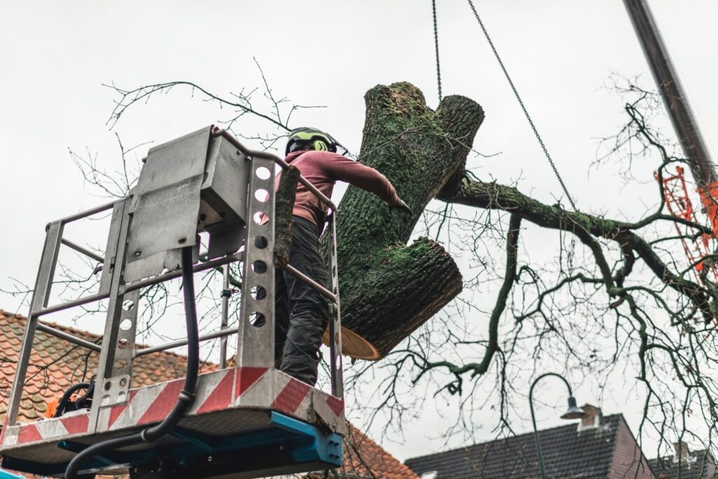 Tree removal from boom truck